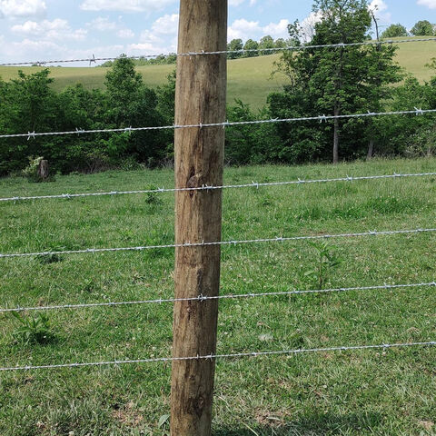 Electric barbed online wire