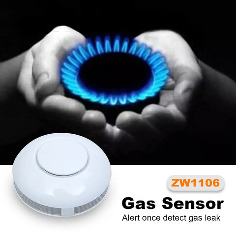 Factory Direct High Quality China Wholesale Home Automatic Smart Gas
