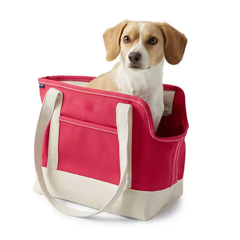 Portable Bag Carrier for Small Dog - Buy Online