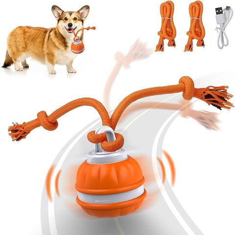 Dog ball that outlet moves