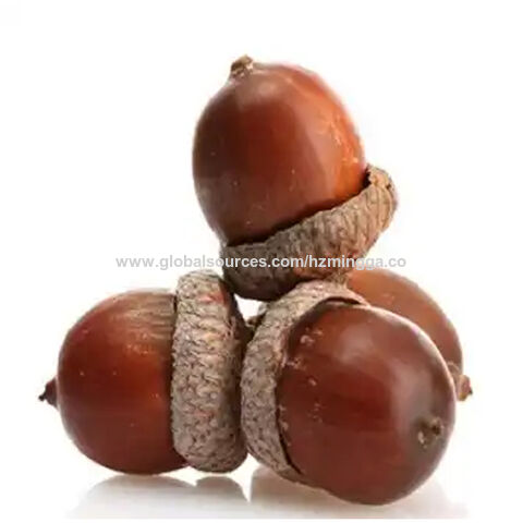 Buy China Wholesale Custom Size Durable Best-selling Acorns Rendong ...