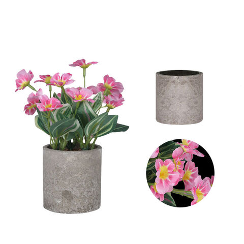 Kaufen Sie China Grohandels-Knstliche Sukkulenten Mini Bonsai Aus Keramik  Und Kunststoff  Grne Kunstpflanzen Zur Dekoration Fr Zuhause Und Bro   Kleine Topf-sukkulenten und Knstliche Pflanze zu einem Preis von $2.2 USD |