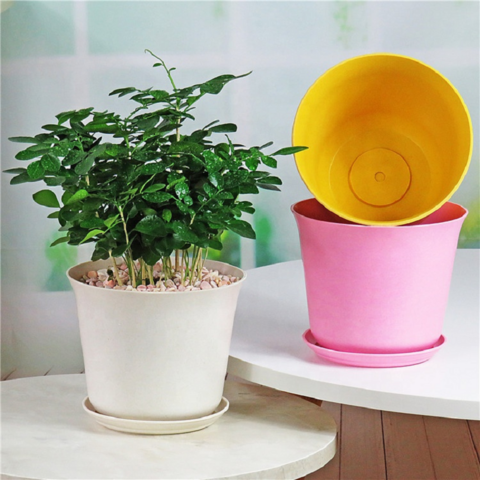 Vaso de plástico biodegradável de palha de trigo para suculentas - Vasos de jardim de plástico para plantas no atacado