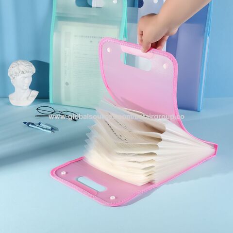 Vertical Wrapped Organ Bags Pp Semi-transparent Folder Handheld ...