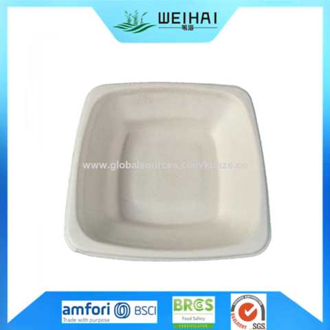 Sugarcane Bagasse Food Container Eco Friendly Biodegradable Mold Pulp ...