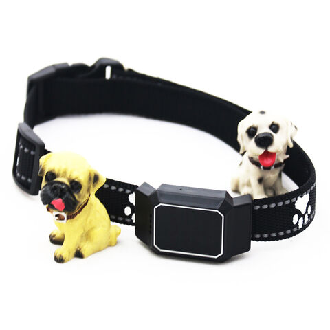 High Quality Real Time Tracker Pet Min Pet Training GPS Tracker Collar for sale at factory direct price