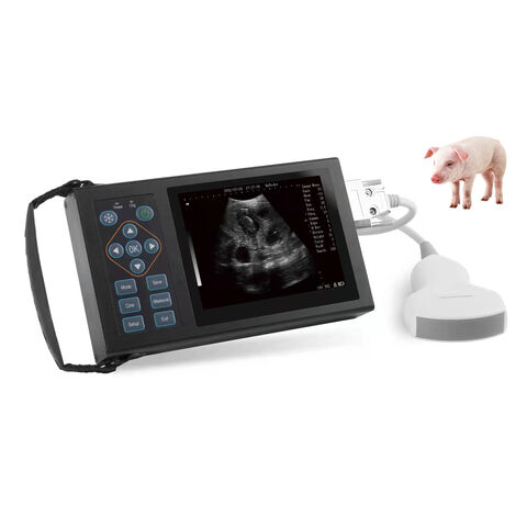 Ultrassom Veterinário Portátil | Scanner de Ultrassom Veterinário para Diagnóstico Animal for sale at factory direct price