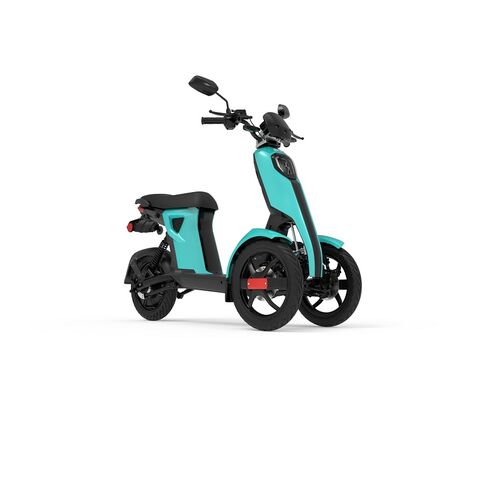 Tres Ruedas Patinete Electrico Triciclo Electric Tricycle Patinete