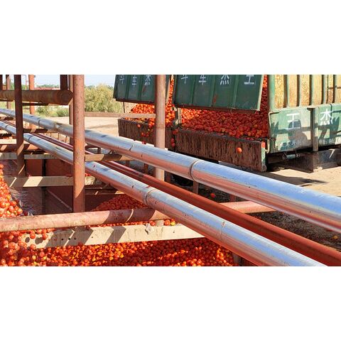 China Tomato Paste 36/38 Brix Cold Break Crop 2023 Packed In 220l Steel ...