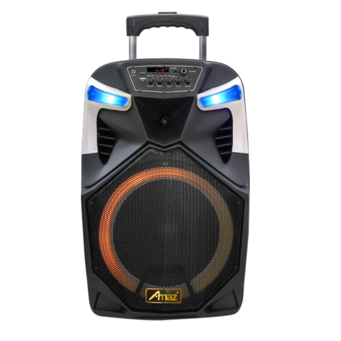 Factory Private Model 12 Inch Portable Trolley Wireless Bluetooth ...