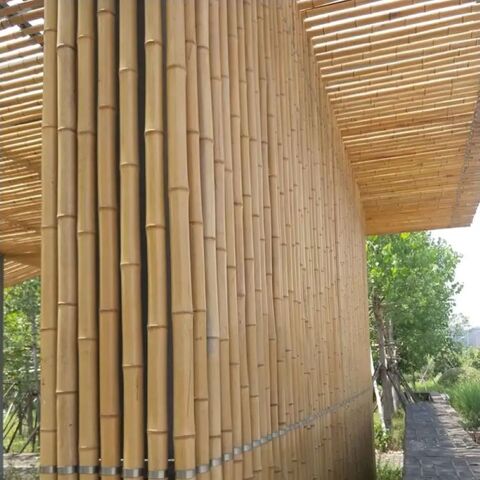 Bamboo Hooked Canes For Celebration Bamboo Costume Cane Teacher's ...