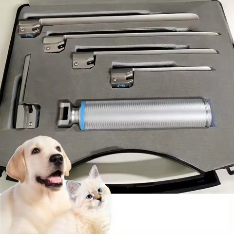 Laryngoscope vétérinaire à prix d'usine en gros, dispositifs de diagnostic médical pour usage animal for sale at factory direct price