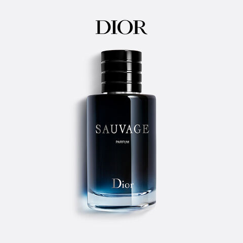 Wholesale Supplier Top Quality Dior Perfume For Men 100ml Colog