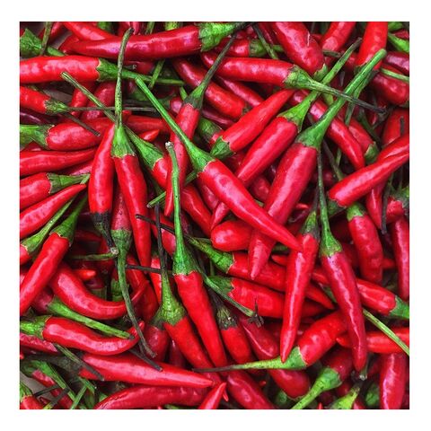 Bulk Buy South Africa Wholesale Fresh Red Chilli Pepper/ Dried Chili ...