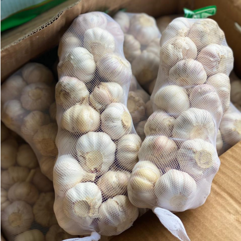 Alho Roxo Fresco com Preço de Atacado de Fábrica para Venda for sale at factory direct price