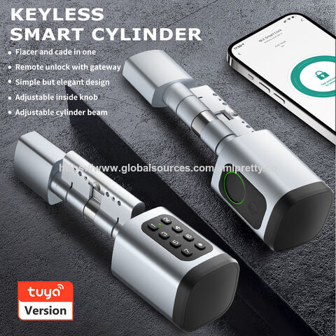 Wholesale Silver Intelligent Door Lock Five Unlocking Methods: Key ...