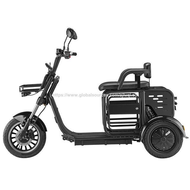 Bon prix 1000W 48V tricycle électrique à batterie pour animaux de compagnie à 3 roues pour adultes for sale at factory direct price