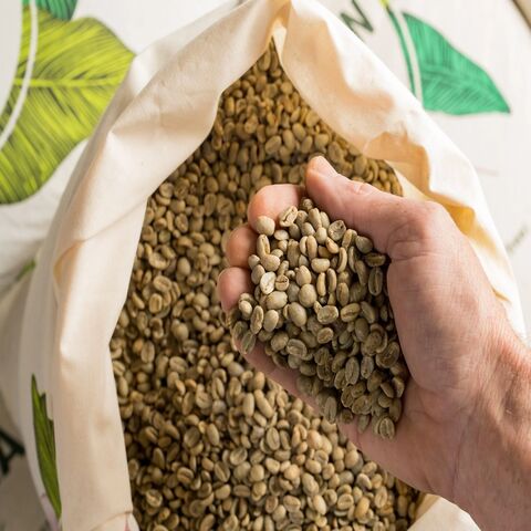 Exótico y Sabroso | Café en Grano Arábica (Coffea Arabica) Grano Entero | Los Mejores Granos de Café Tostados Online