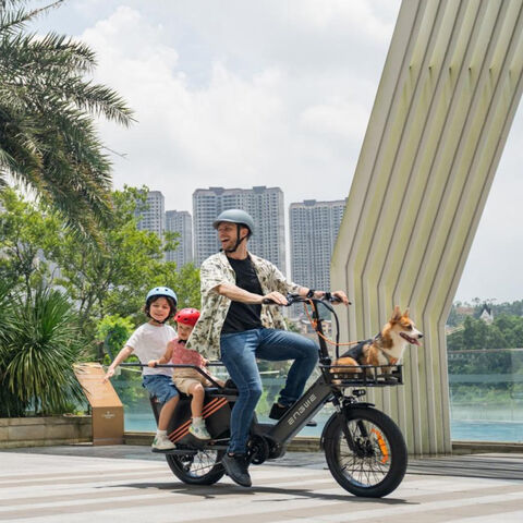 Vélo Cargo Électrique avec Capteur de Couple, Freins Hydrauliques, 48V 38.4AH 250W - E-Bike Cargo pour Professionnels