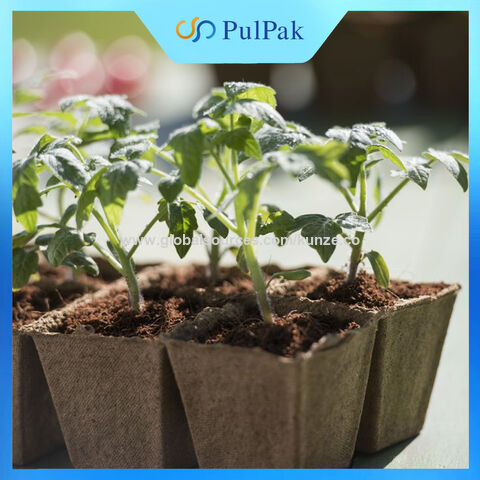 Biodegradable flower pots biodegradable disposable outdoor planters flower pot 100% pulp environmentally friendly self-degradable