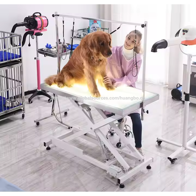 Mesa de peluquería canina eléctrica al por mayor con luz LED, mesa de aseo veterinaria
