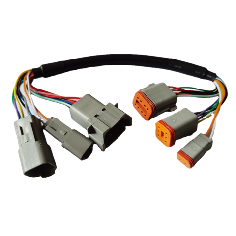 Fabricante de Cables DTM DT04-2P DT06-2S para Automoción