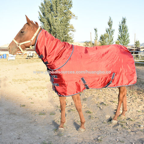 Combo de Accesorios de Equitación de Alta Calidad, Protector de Caballo, Personalización Ecuestre, Mantas para Caballos for sale at factory direct price