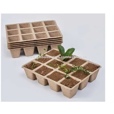 Ensemble Pot et Plateau de Pépinière en Pulpe de Papier Dégradable Jetable à 16 Cellules pour Bonsaï