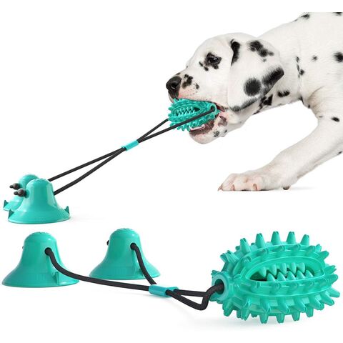 Brinquedo popular para animais de estimação para dentição, dispositivo de alimentação com vazamento, bola resistente a mastigação, brinquedo para cães com ventosa