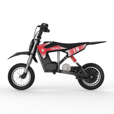 Electric Dirt Bike for Adults and Teens 36V 300W 12 Inch Air Tires 15 to 20km Max Range for sale at factory direct price