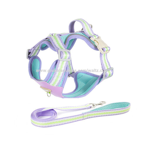 Arnés para Perros Pequeños y Medianos, Edición Clásica, Colorido, de Cuero y Nylon, Estilo OEM ODM