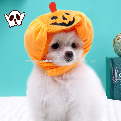 Vente en gros transfrontalière de chapeaux pour animaux de compagnie, mini déguisements créatifs, accessoires amusants, chapeau de citrouille, ensemble de tête de chat, jolis couvre-chefs pour animaux de compagnie for sale at factory direct price