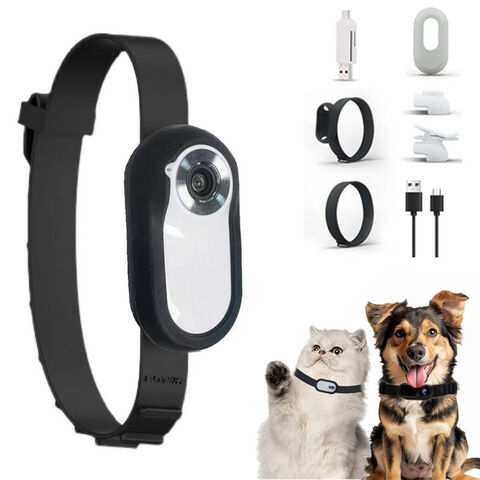 Wholesale Pet Camera Collar Sports Collar Mini Magnetic Thumb Action Camera Video Recording Outdoor Pet Safe Wireless Camera for sale at factory direct price