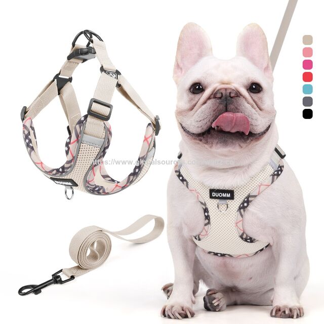 Arnés para Mascotas de Malla Transpirable Decorado y Colorido al por Mayor, Correa Reflectante para Perros, Suministros para Mascotas