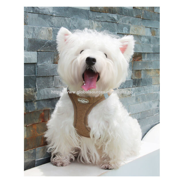 Nuevo arnés ajustable para gatos y perros pequeños con diseño de panal, colores brillantes y fácil de poner