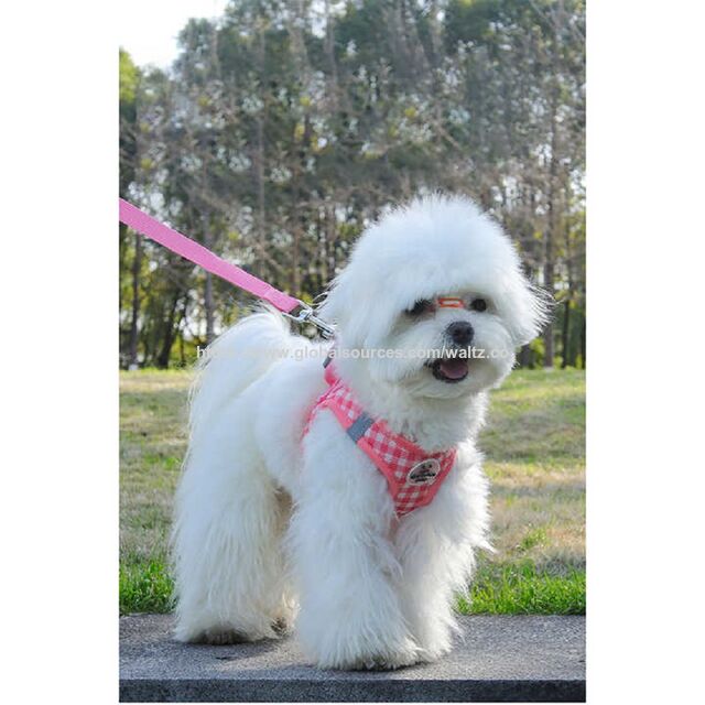 Arnés para Cachorros para Exteriores con Diseño de Lona, Correa para Pecho para Perros Pequeños y Medianos, Correa para Gatos y Perros Pequeños for sale at factory direct price