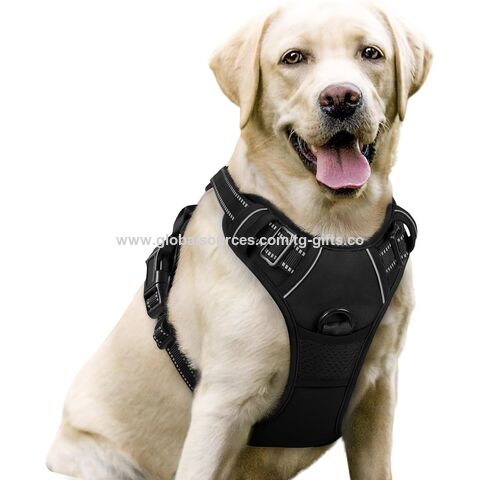 Harnais pour chien, anti-traction réglable, gilet pour animaux de compagnie d'extérieur avec bandes réfléchissantes 3M, tissu Oxford, gilet pour chien