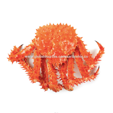 Kepiting Raja Merah Hidup | Kepiting Raja Segar dan Beku | Kaki Kepiting Raja for sale at factory direct price