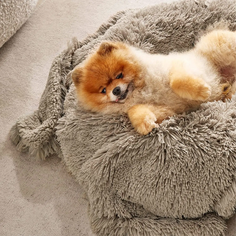 Cama Ovalada Suave de Diseñador para Perros con Espuma Viscoelástica al por Mayor - Cojín para Mascotas for sale at factory direct price