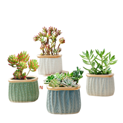 Pots de fleurs succulentes en céramique faits à la main de bonne qualité avec logo personnalisé pour la décoration intérieure