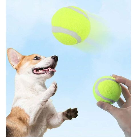 Venda por atacado da fábrica, brinquedos elásticos para cães, bolas de tênis, brinquedos para mastigar, bolas de borracha para treinamento, suprimentos para animais de estimação for sale at factory direct price