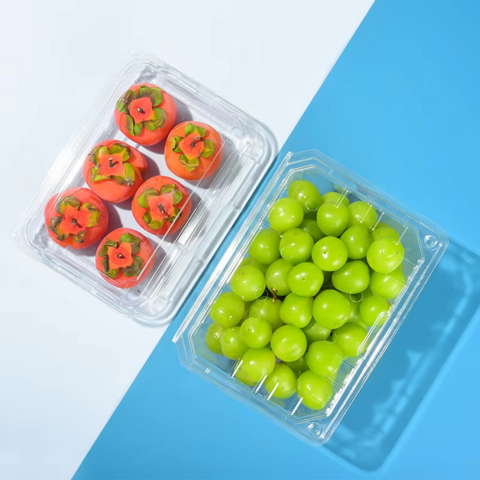 Embalagem Blister Descartável de Plástico Transparente Personalizável com Logo para Frutas Frescas - Pratos e Tigelas de Plástico da China for sale at factory direct price