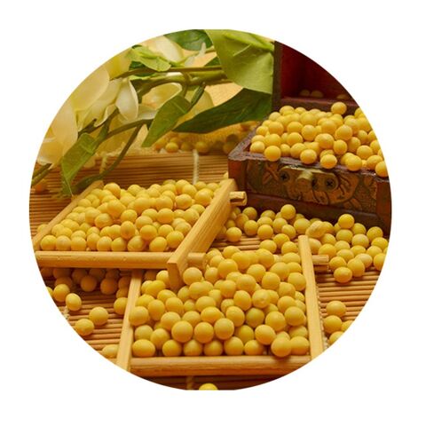فول صويا صفر عالي الجودة عديل وراثي for sale at factory direct price