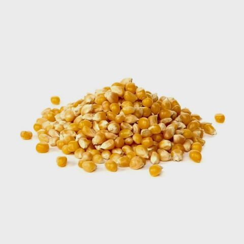 Sémola de Maíz Amarillo de Calidad Premium para Alimentación Animal con Empaque Personalizado al por Mayor for sale at factory direct price