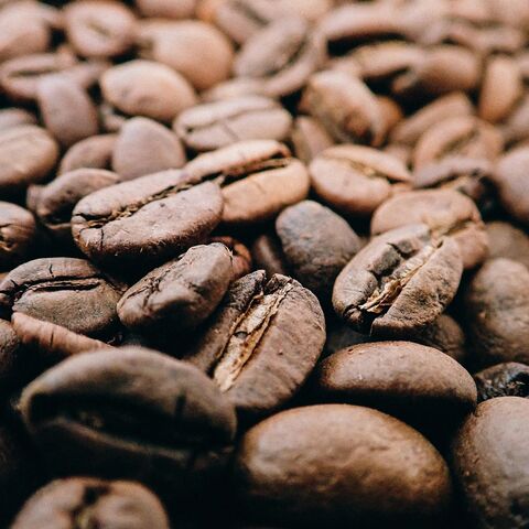 Venta al por mayor de granos de café Robusta, 100% granos de café Arábica - Venta al por mayor - Verde o Tostado Envío Gratis for sale at factory direct price