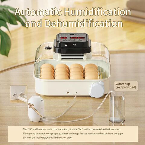 Mesin Penetasan Unggas Digital Pintar dengan Kontrol Kelembaban, Pemutar Telur Otomatis, Ideal untuk Ayam, Bebek, Angsa, Puyuh - Grosir dari China for sale at factory direct price