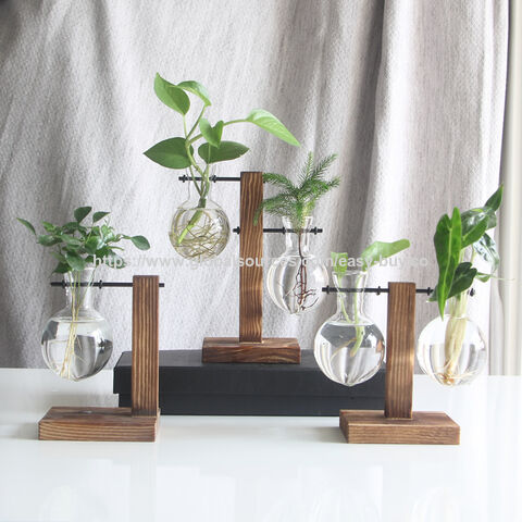 Terrário Aberto, Terrário Tropical, Recipiente de Vidro, Ecossistema Autossustentável, Terrários for sale at factory direct price