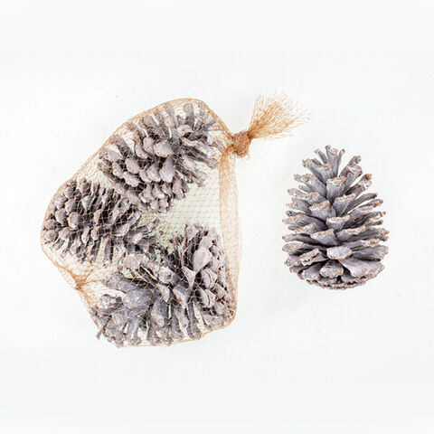 Décorations de Noël Grande Pomme de Pin Blanche