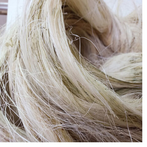 Bulk Buy United States Wholesale 100% Natural Sisal Fiber /factory ...