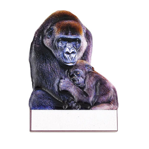 Impression de logo personnalisé Résine Afrique Afrique du Sud Big Five Souvenirs Cadeau Aimant de réfrigérateur Kenya